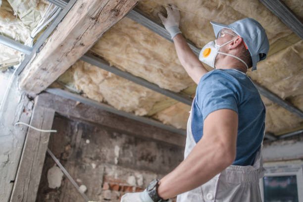 Best Home Insulation Services  in Califon, NJ