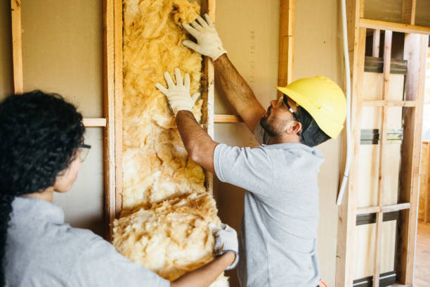 Best Insulation Contractors for Homes  in Califon, NJ